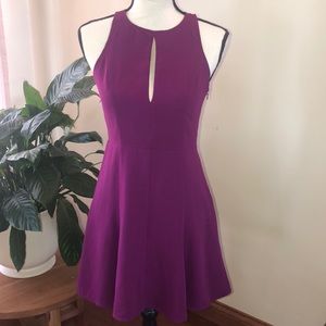 Leith dark magenta fit and flare dress